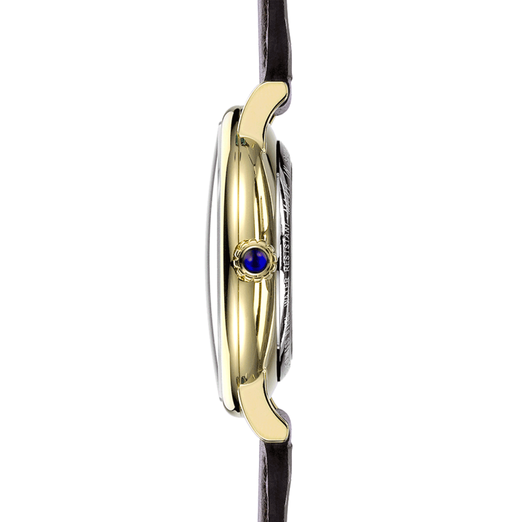 Inspiration Automatic 1647P16BR Altın Sarısı Erkek Kol Saati