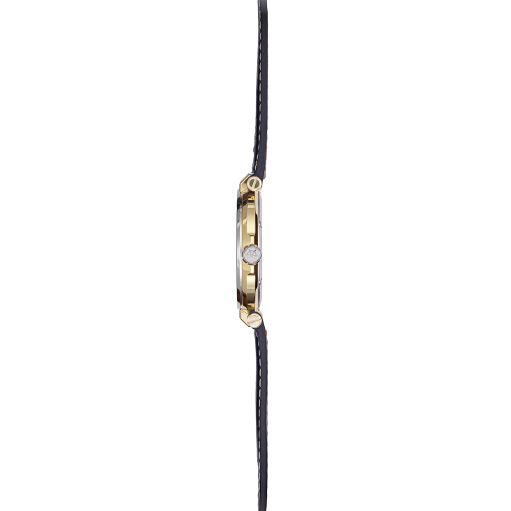 Newport 18389T1N35 Bicolor Erkek Kol Saati